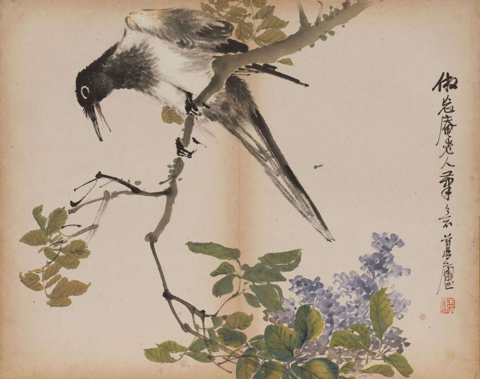 【 清代 朱偁 《杂画册》 】  #花鸟画#  #国画