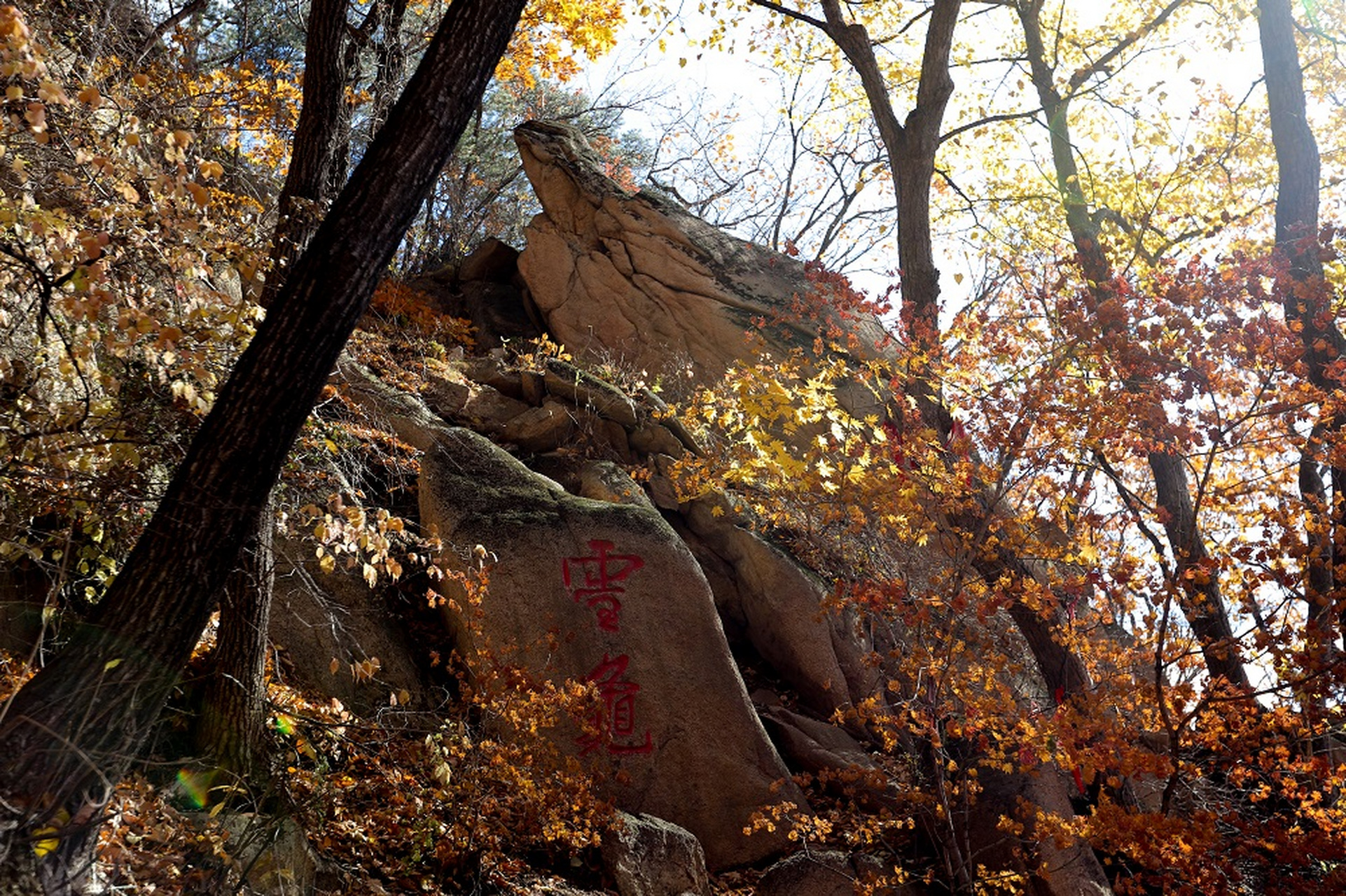 【抚顺市新宾满族自治县——猴石国家森林公园四季美景摄影作品赏析】