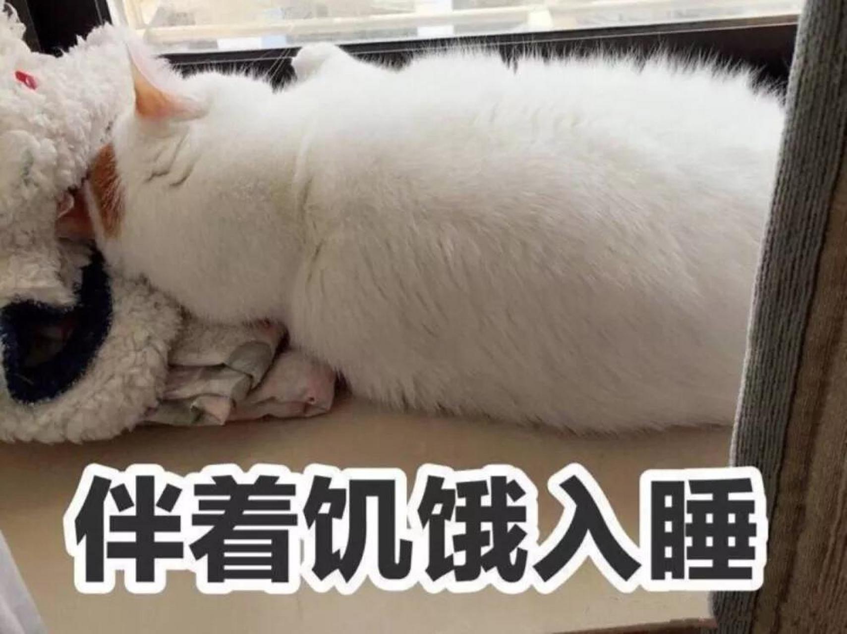 有科学证据显示,人在肚子饿的时候会更聪明