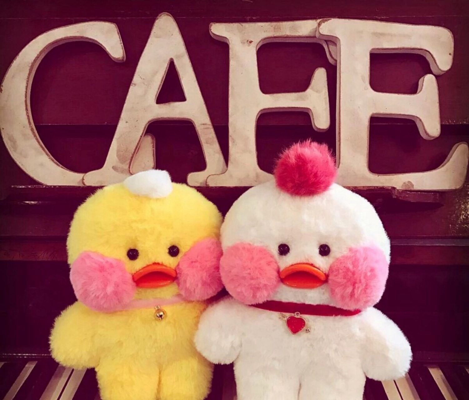 "你知道墙壁,眼睛,膝盖的英文怎么说么?