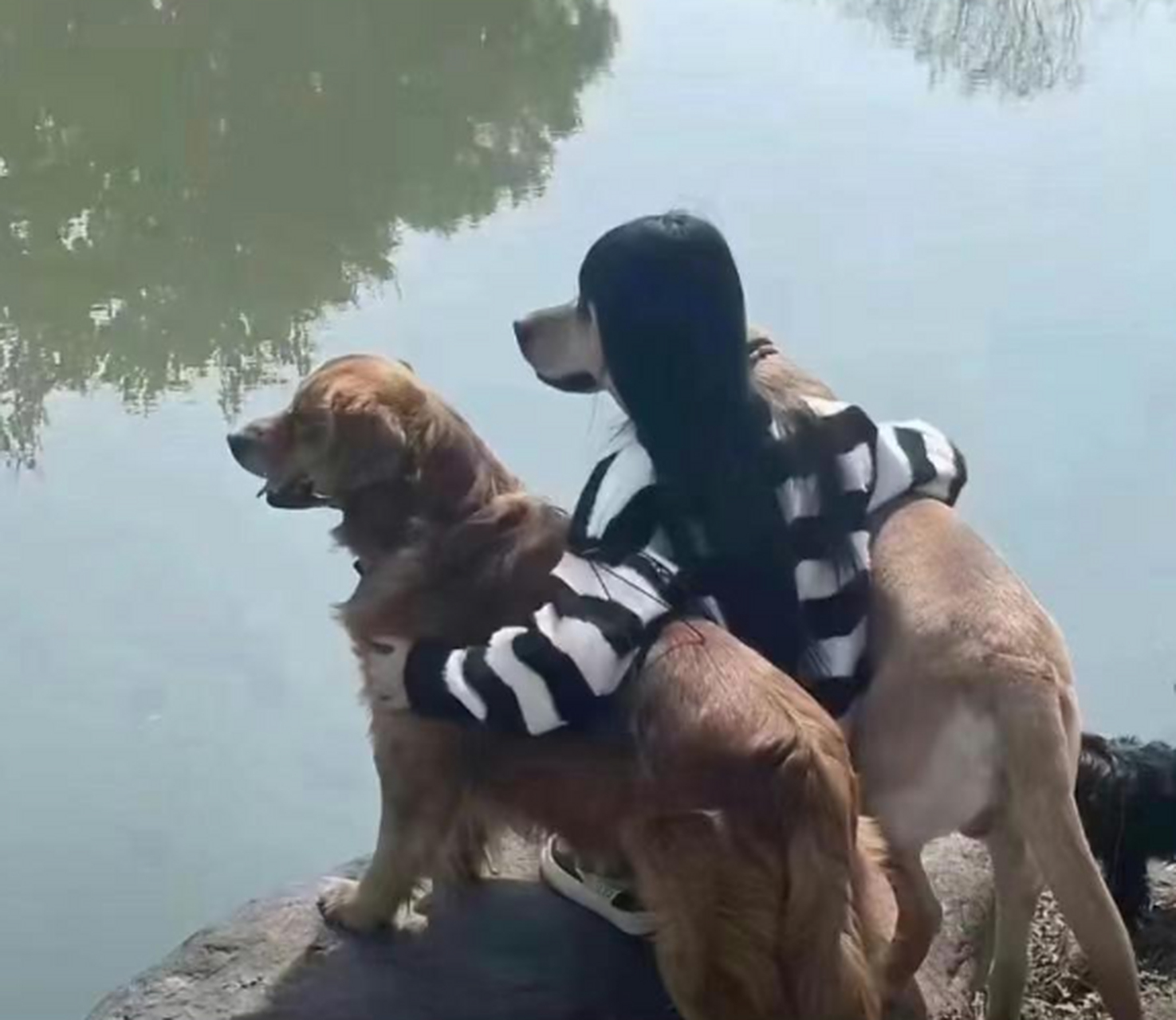 这张照片愣是看了半天才看明白,你看懂了吗?