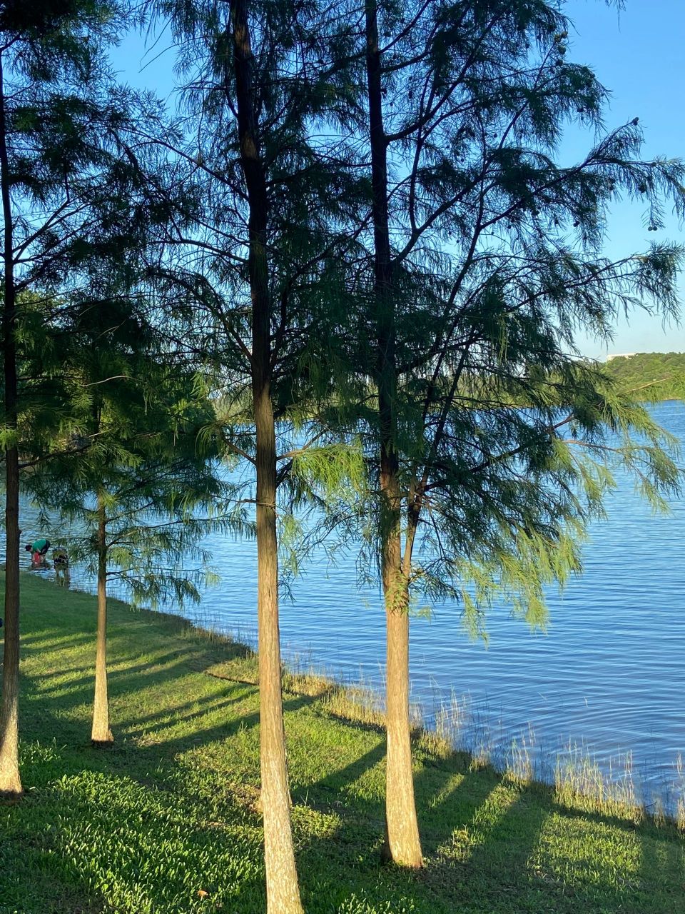 东莞松山湖打卡 广东周边游:东莞松山湖景区松湖烟雨,不是国外!是东莞