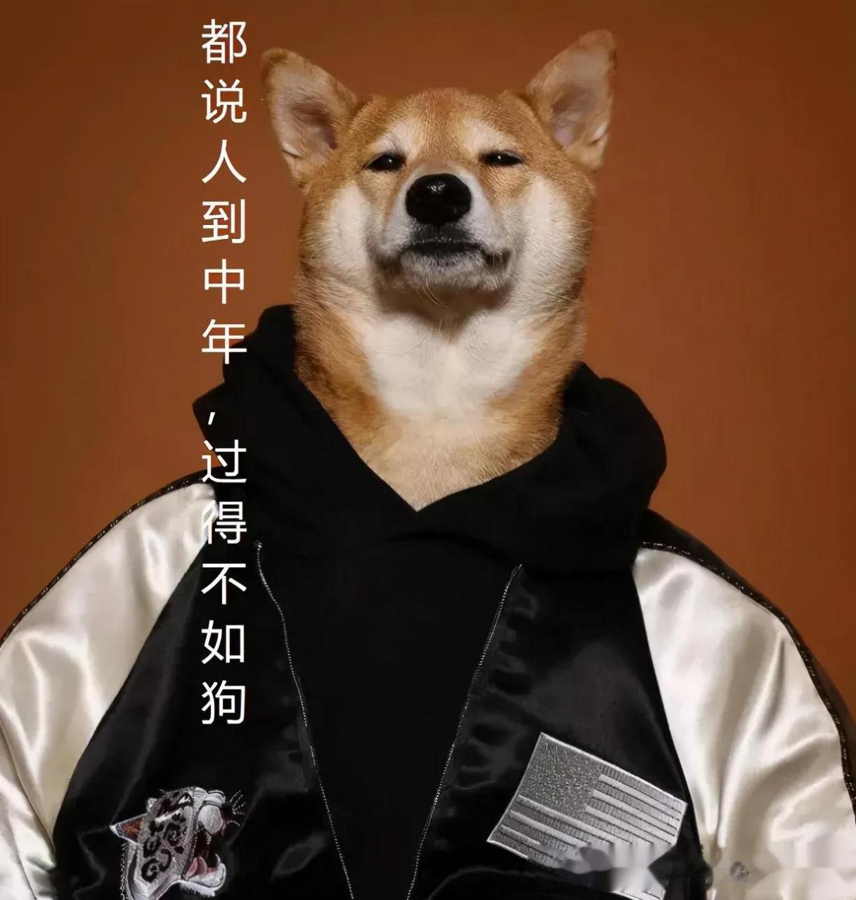 都说人到中年,过得不如狗;都说放过别人,别给自己过不去;都说要活出