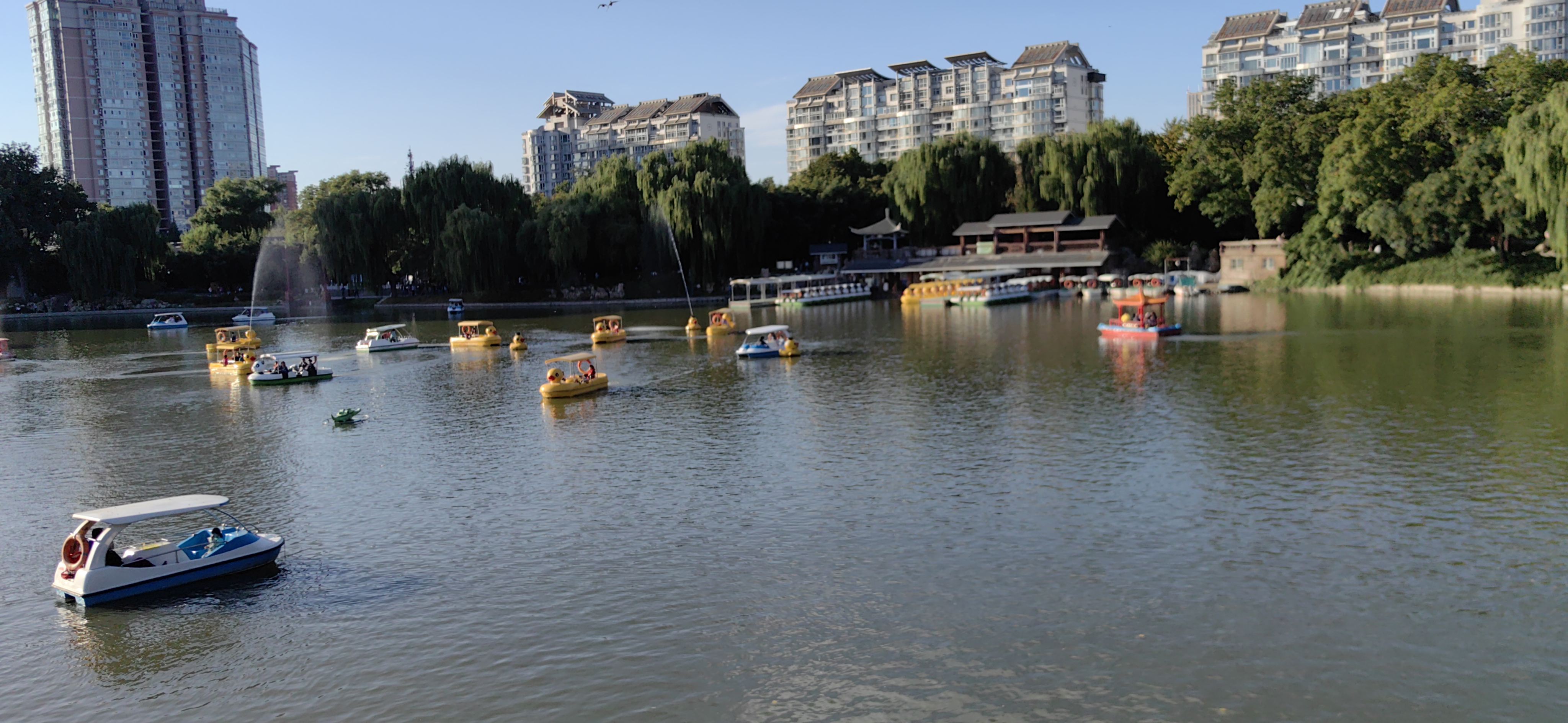 是机缘巧合还是时机成熟都挺好