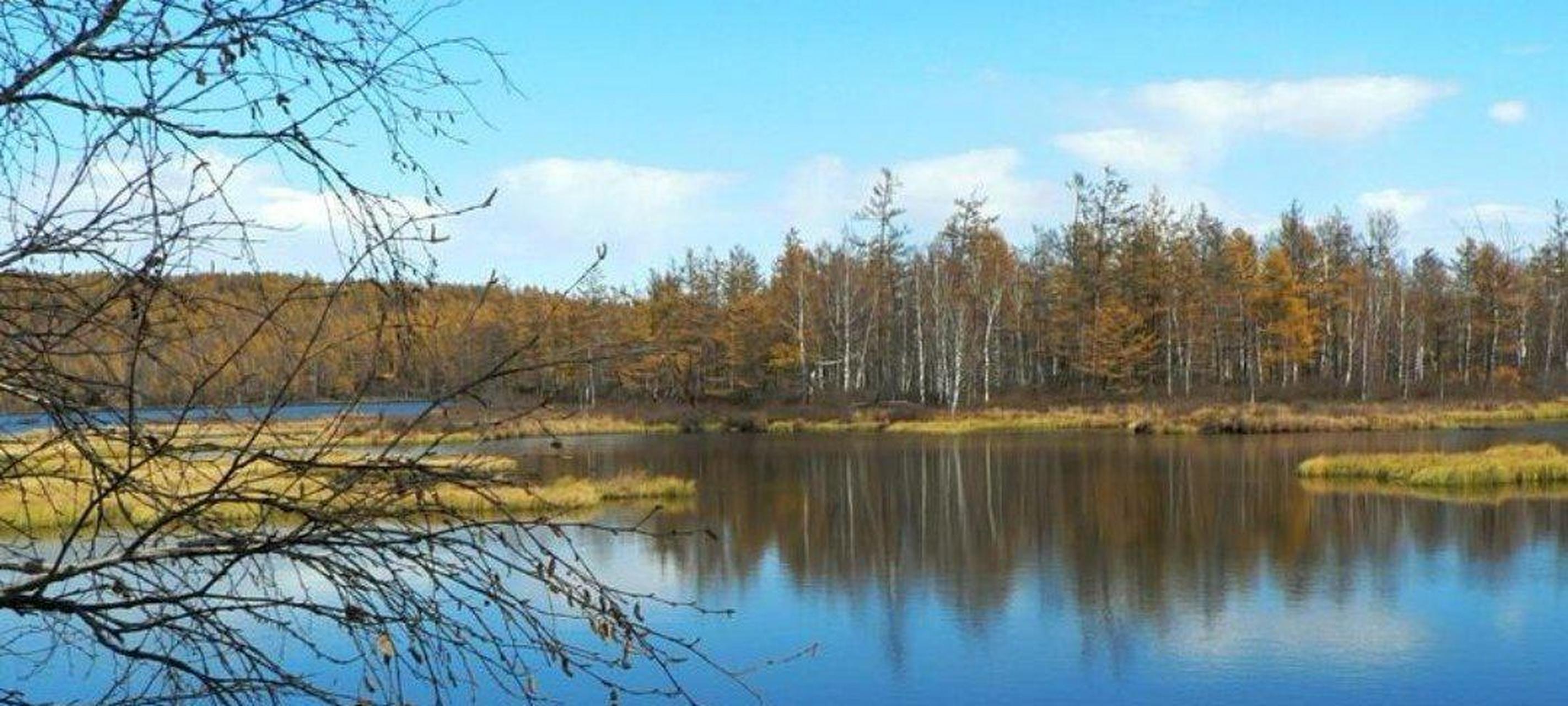 中山市鹿鸣湖图片