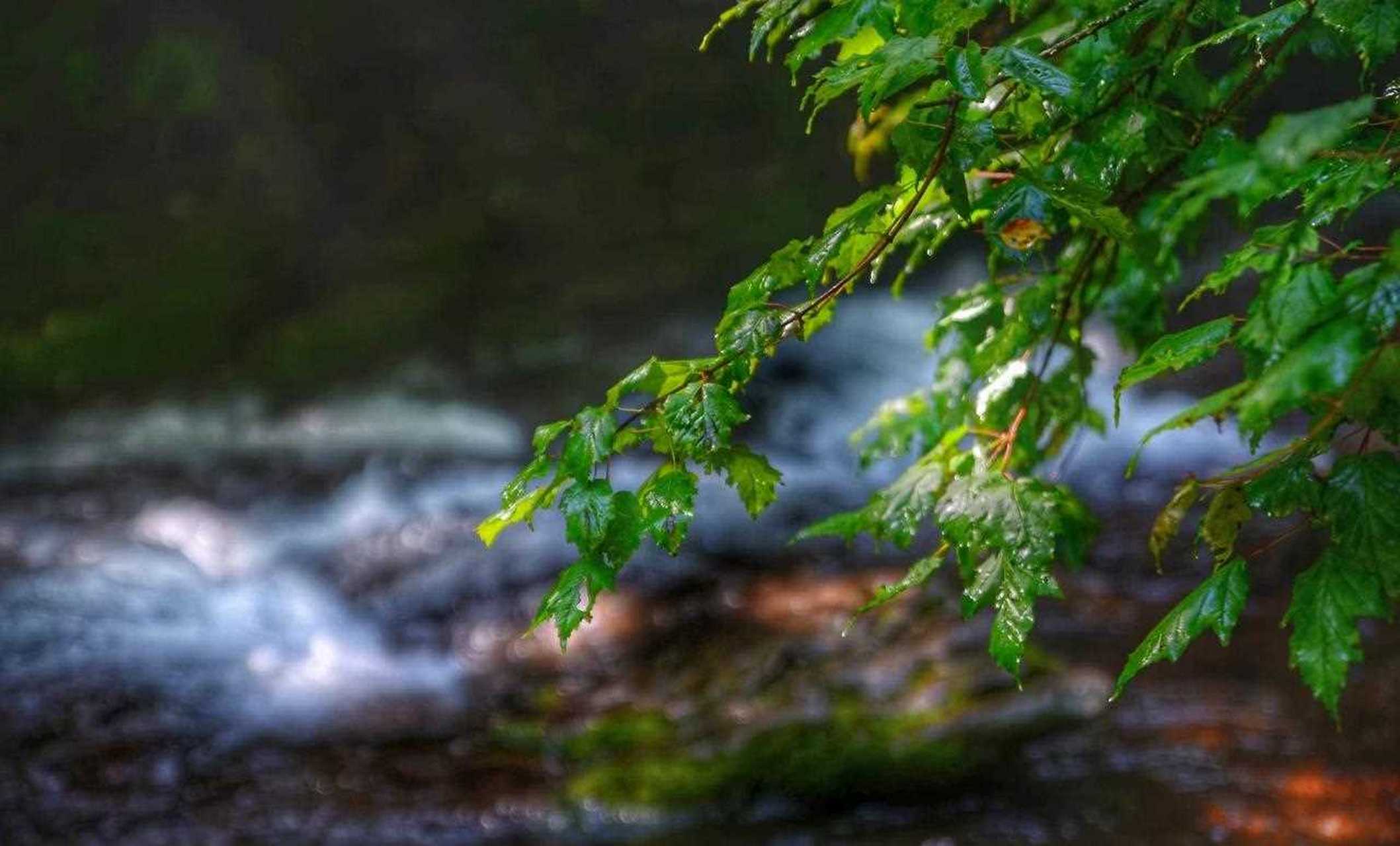 小南川是六盘山国家森林公园的核心景区之一,纯自然形成,环境优美