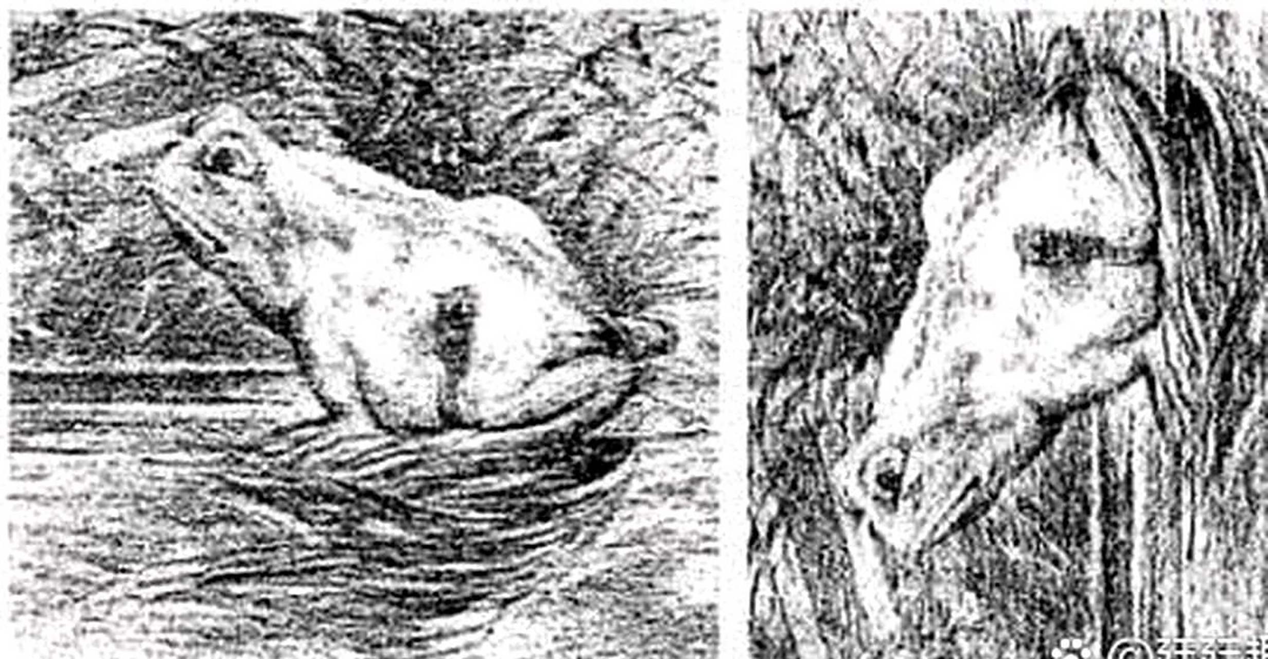 从不同的角度看问题,会得出不同的结果.