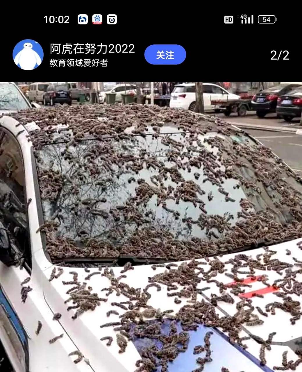 树上虫子多,这车不可取,需要另寻他路