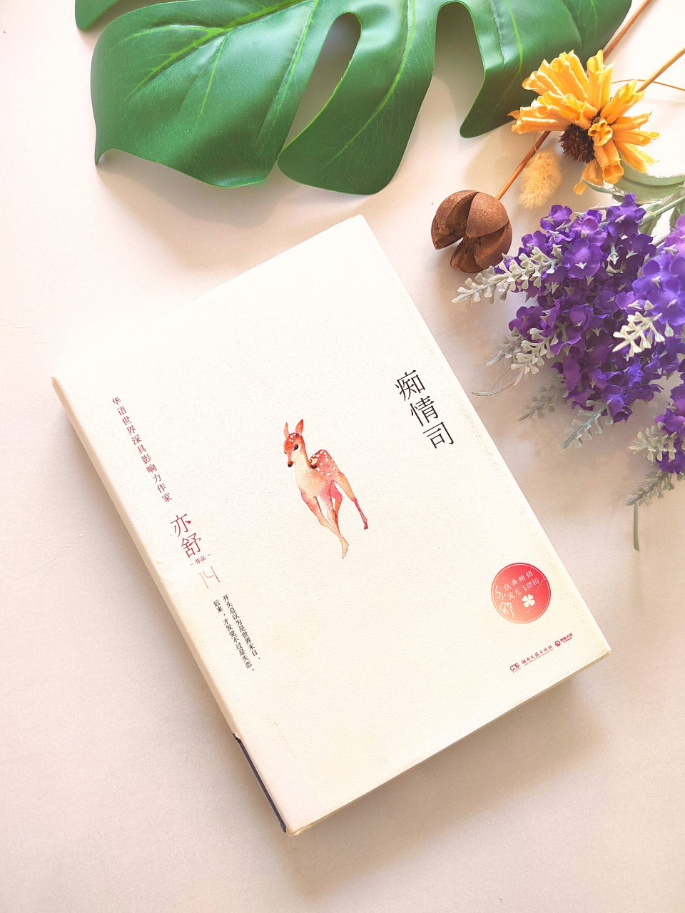 《痴情司》作者:亦舒   内容简介:任乃意自幼做梦,梦中两位痴情司 美