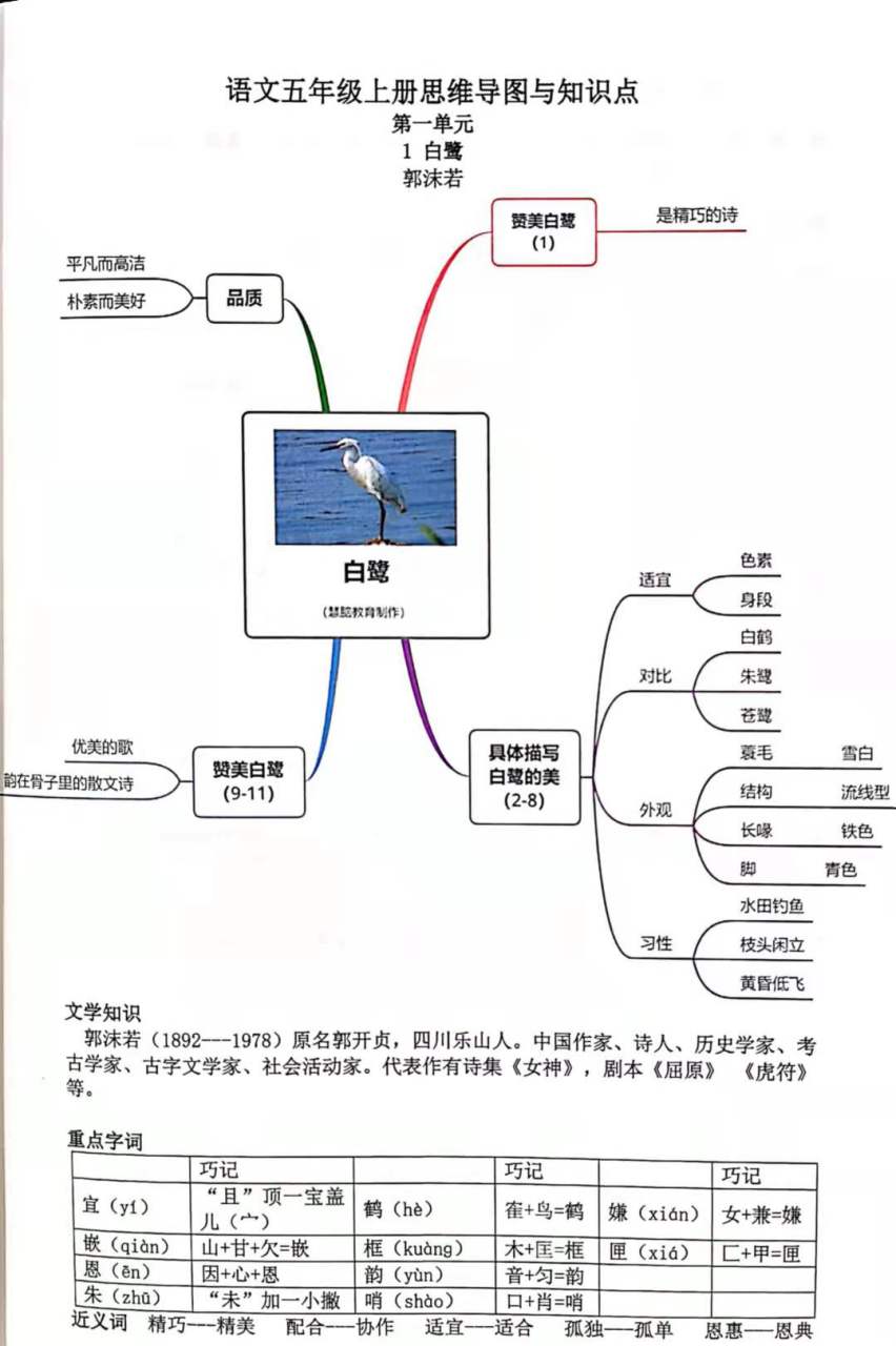 小学语文白鹭思维导图图片