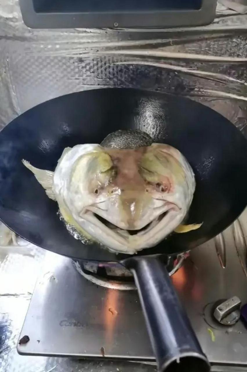 寻思做个剁椒鱼头,需要注意什么? #搞笑趣味图