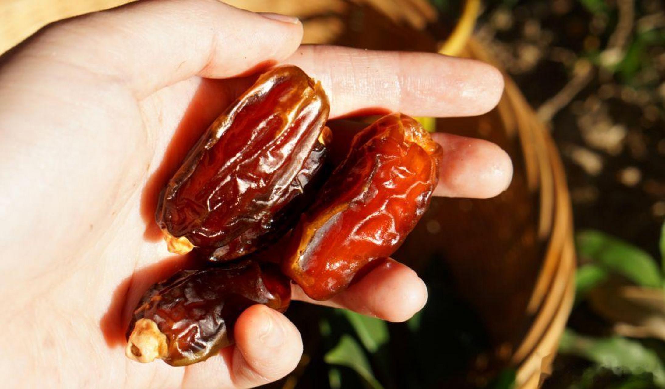 大妈的精选# 『yasrib沙特阿拉伯椰枣果干 甜蜜可口 果大肉厚 充饥饱