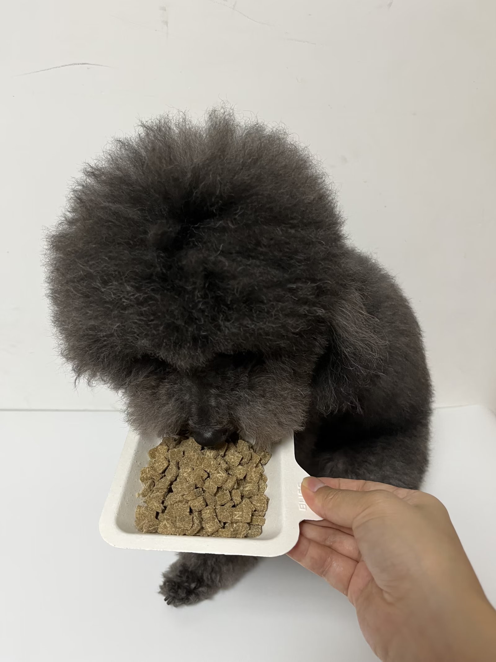 一般狗粮包装袋上都有喂食建议不同的狗粮喂食量不同都是根据狗 