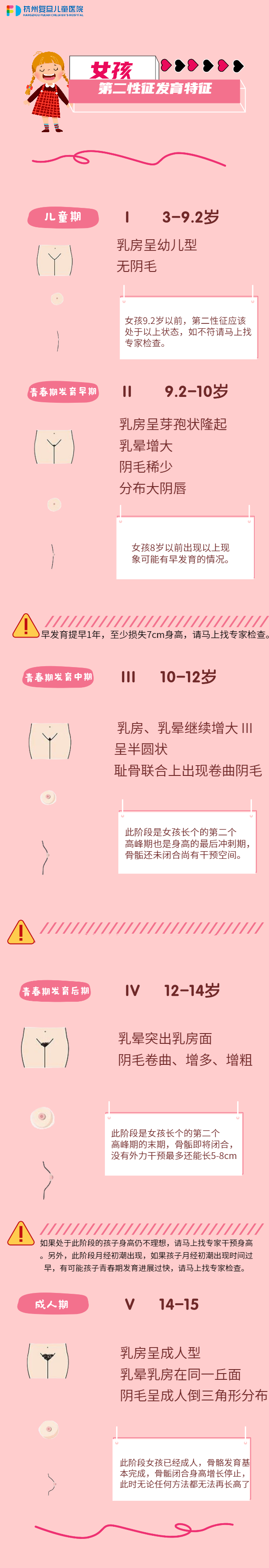 女孩第二性征发育时间图片