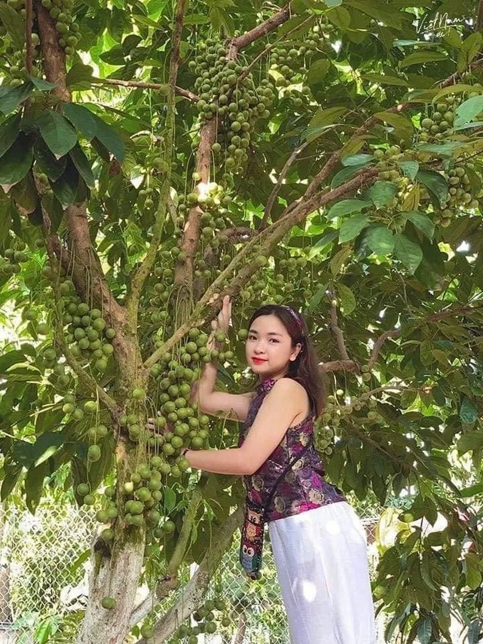 动态创作月#大家想看的越南妹子来了,实拍农村生活