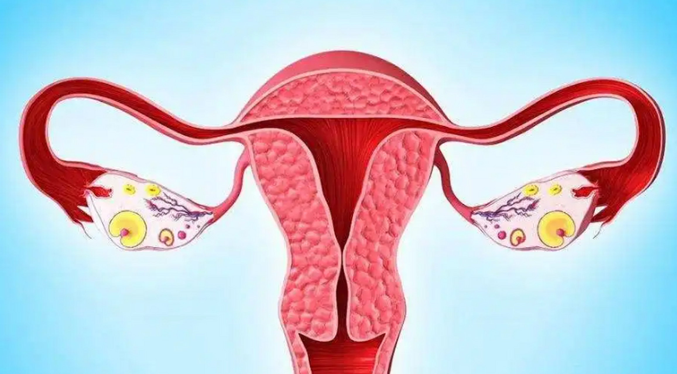 生活中不少女性体检时都会遇到类似问题,当医生告知自己存在宫颈肥大