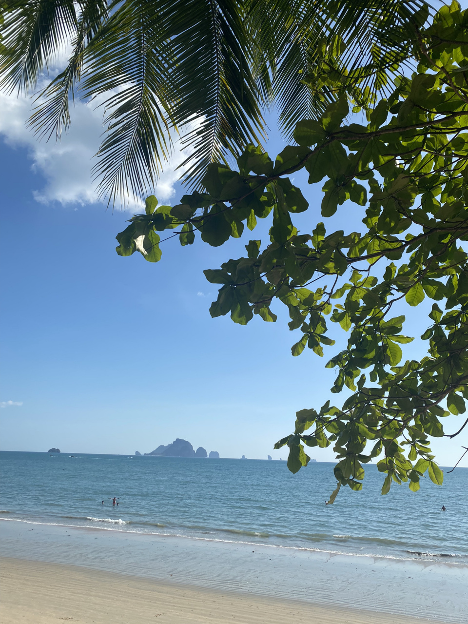 在甲米的日常be like晒太阳 吃冷饮 逛海岛 看日落 非常巴适但是
