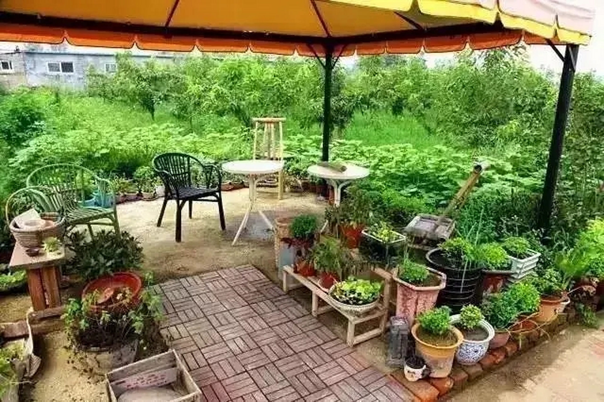 东夏湾村看小院之美:就在前两天,小编走进峡山区岞山街道东夏湾村一处