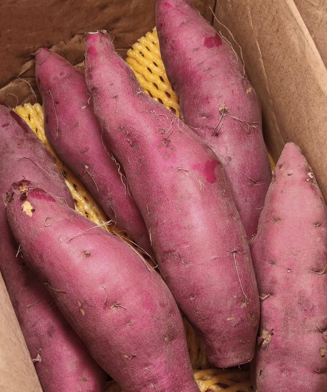 板栗香甜,红薯糯软 陕西特产,营养美味 一口咬下,回味无穷  早餐享用