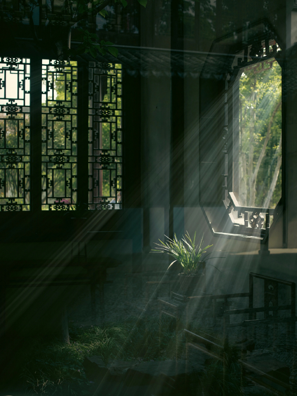 窗外自然景色流转,与室内气韵缱绻相融,令人赏心悦目