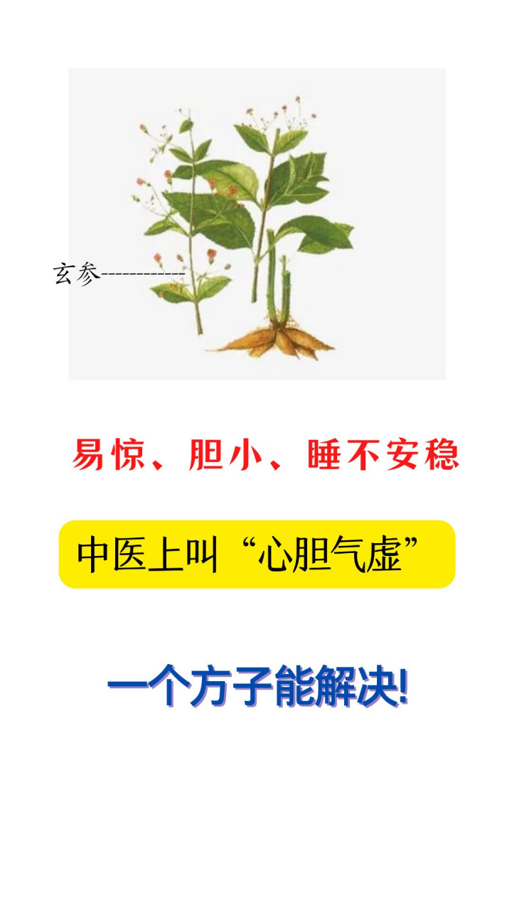 中医上叫"心胆气虚",一个方子能解决!#失眠