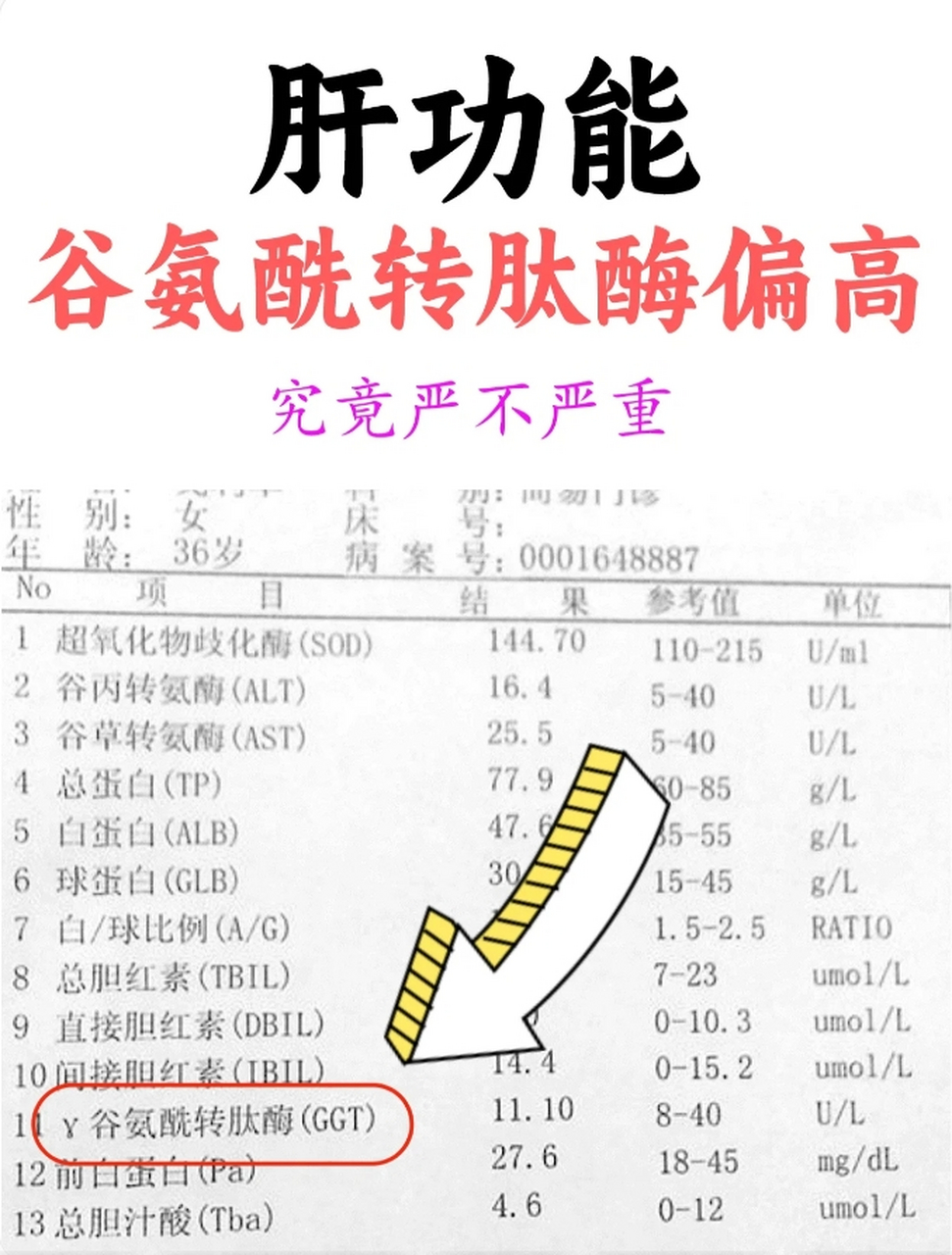 谷氨酰胺分子量图片