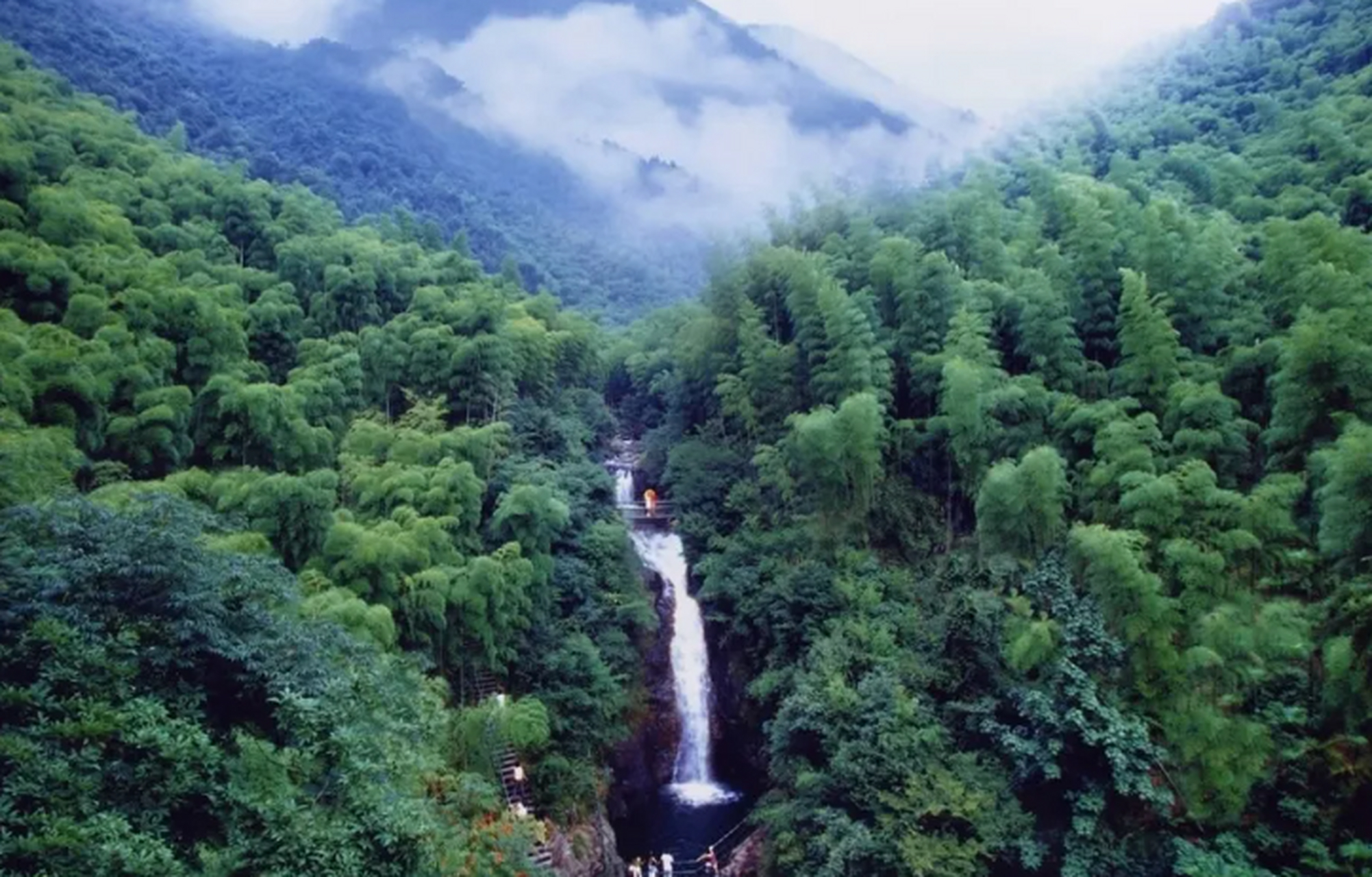 浙西大龙湾景区绿树成荫,瀑布成群,溪水清澈见底.