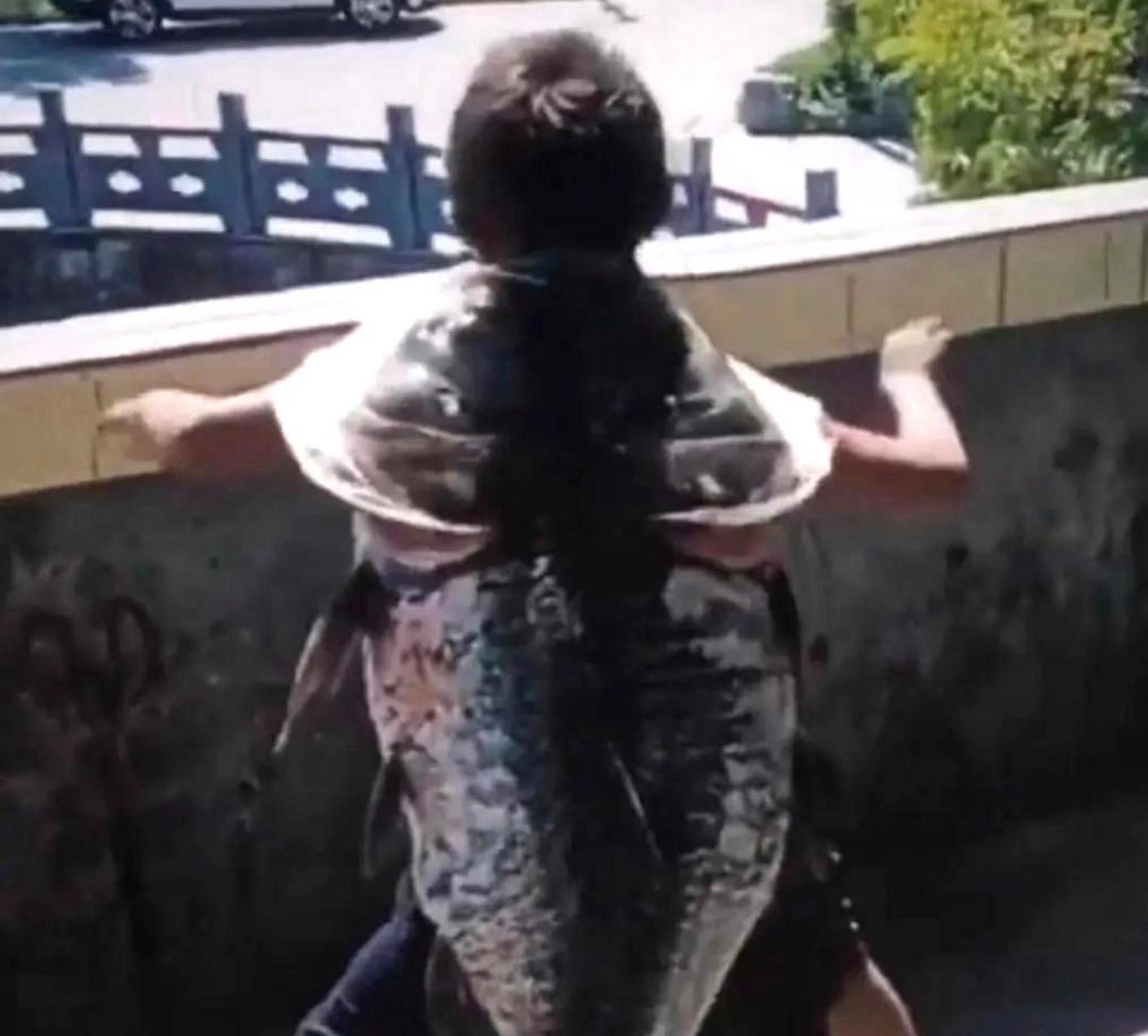 奔波儿灞和灞波儿奔 → 奔跑的灞河和河畔奔跑