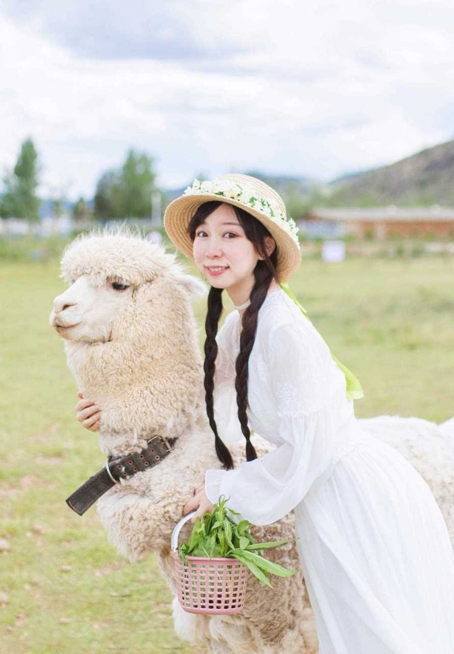 这个名叫孝尊木梨庄园的地方是我临时发现的,在玉龙雪山脚下,不用出国