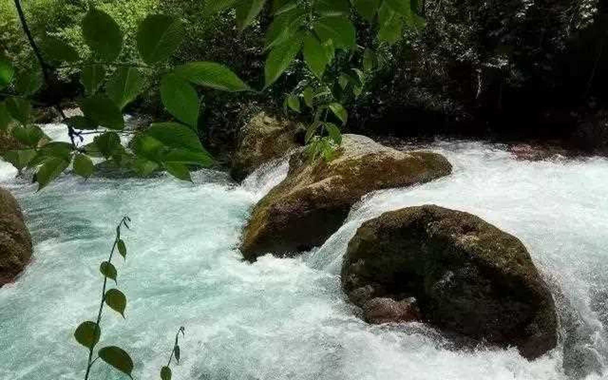 麻柳沟就在距离成都一个半小时的崇州鸡冠山下面,但由于原始未开发