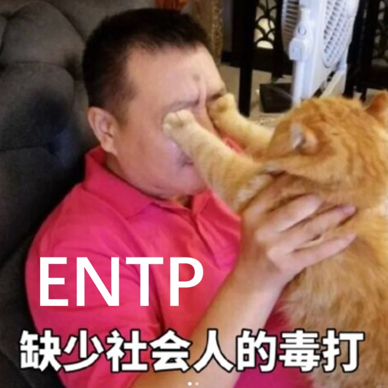 被社会毒打后最善良的mbti 居然是他们?