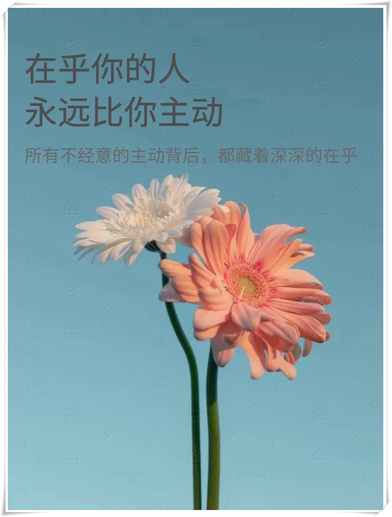 在乎你的人,永远比你主动