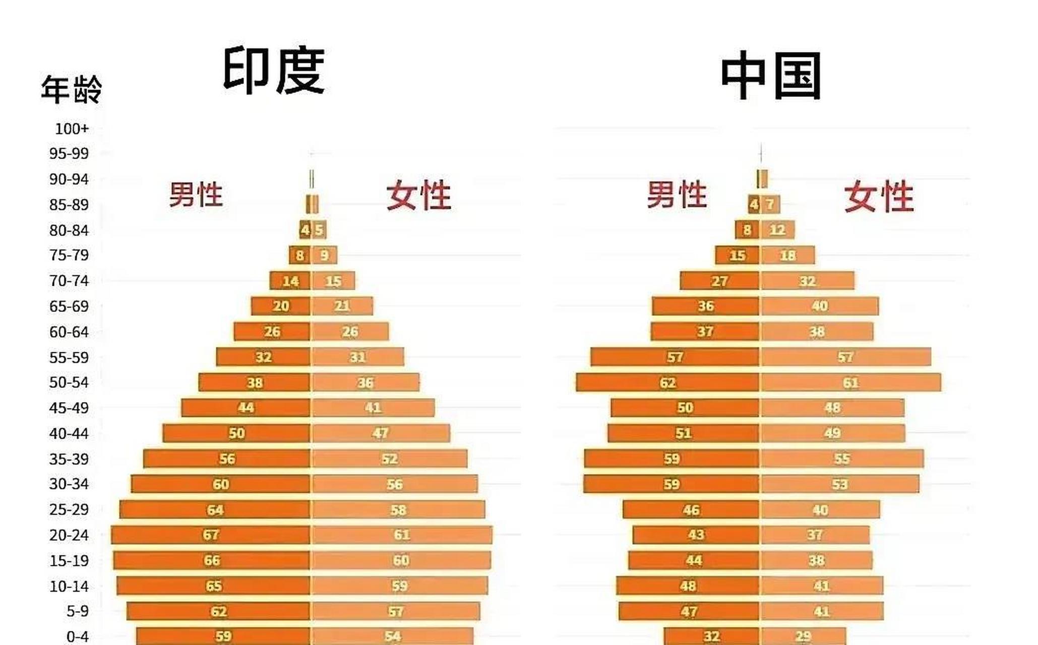 一张中国和印度的人口结构图 两个同为人口大国 年龄结构却完全不同