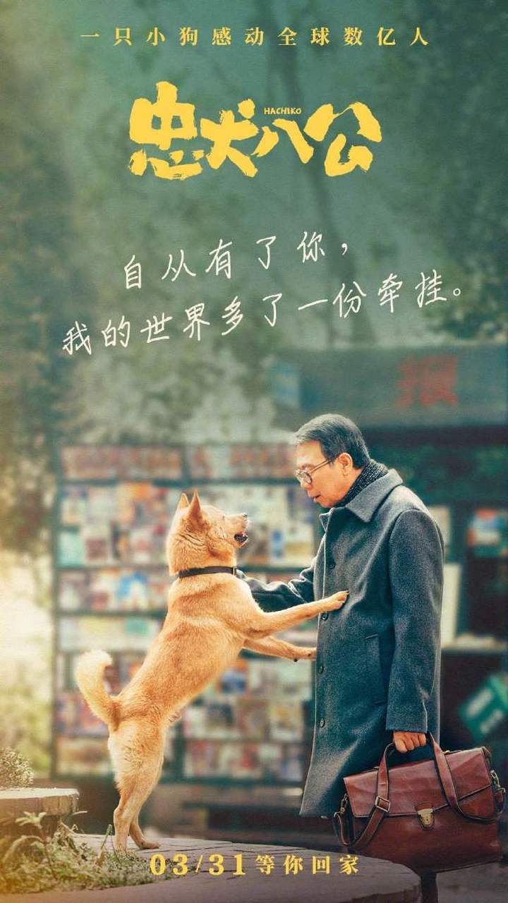 中国犬类电影图片