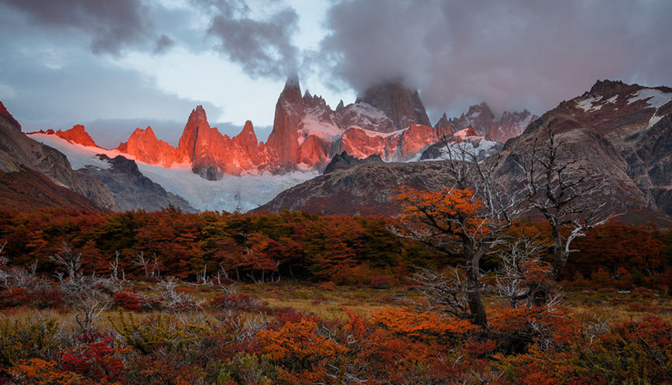 我在等着你回来