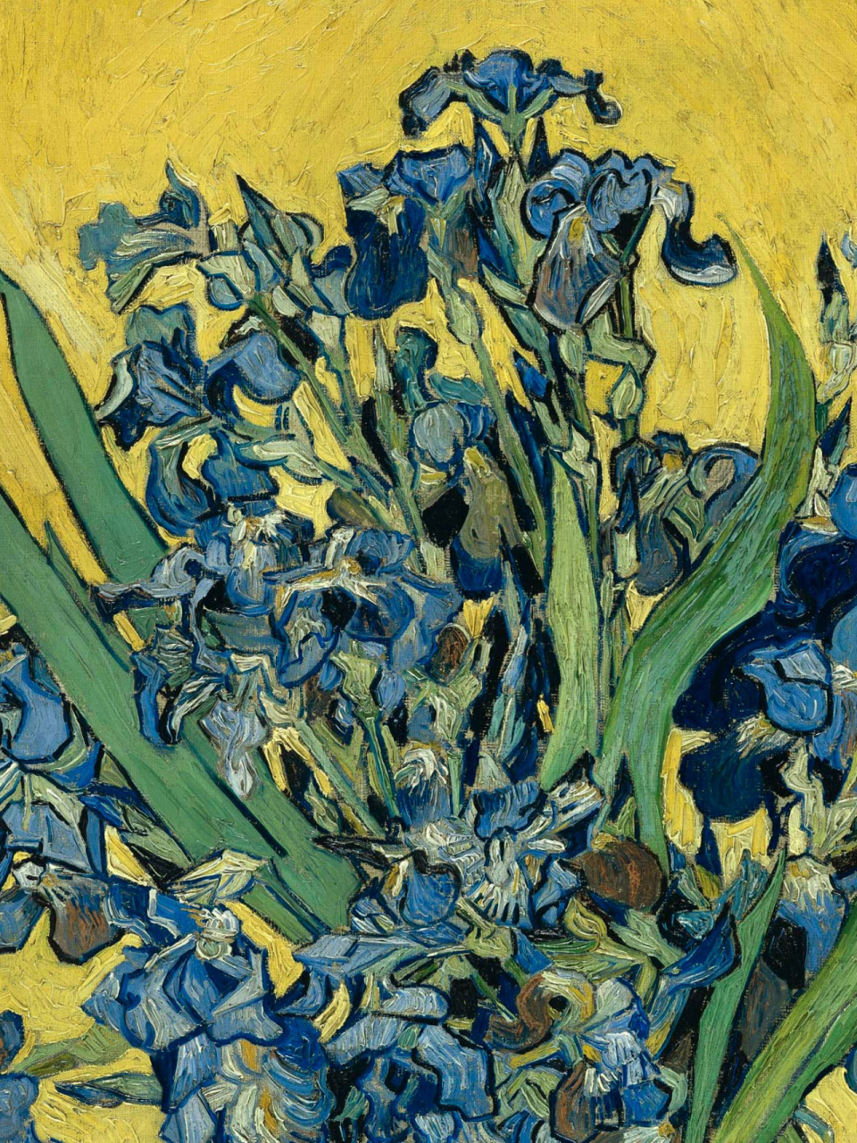 69梵高油画《土黄瓶鸢尾花》高清附细节  《土黄瓶鸢尾花》是梵高