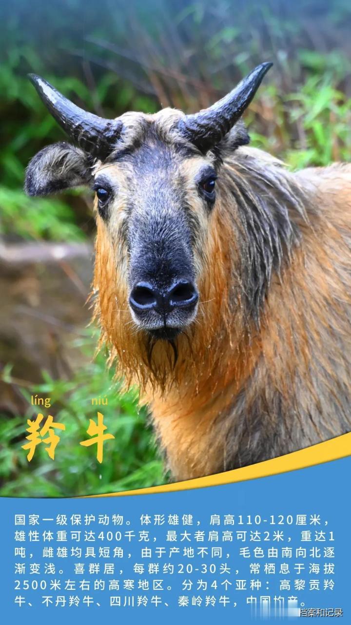 王波兰,外表清秀但内心强大,在战术型号导弹研制这个