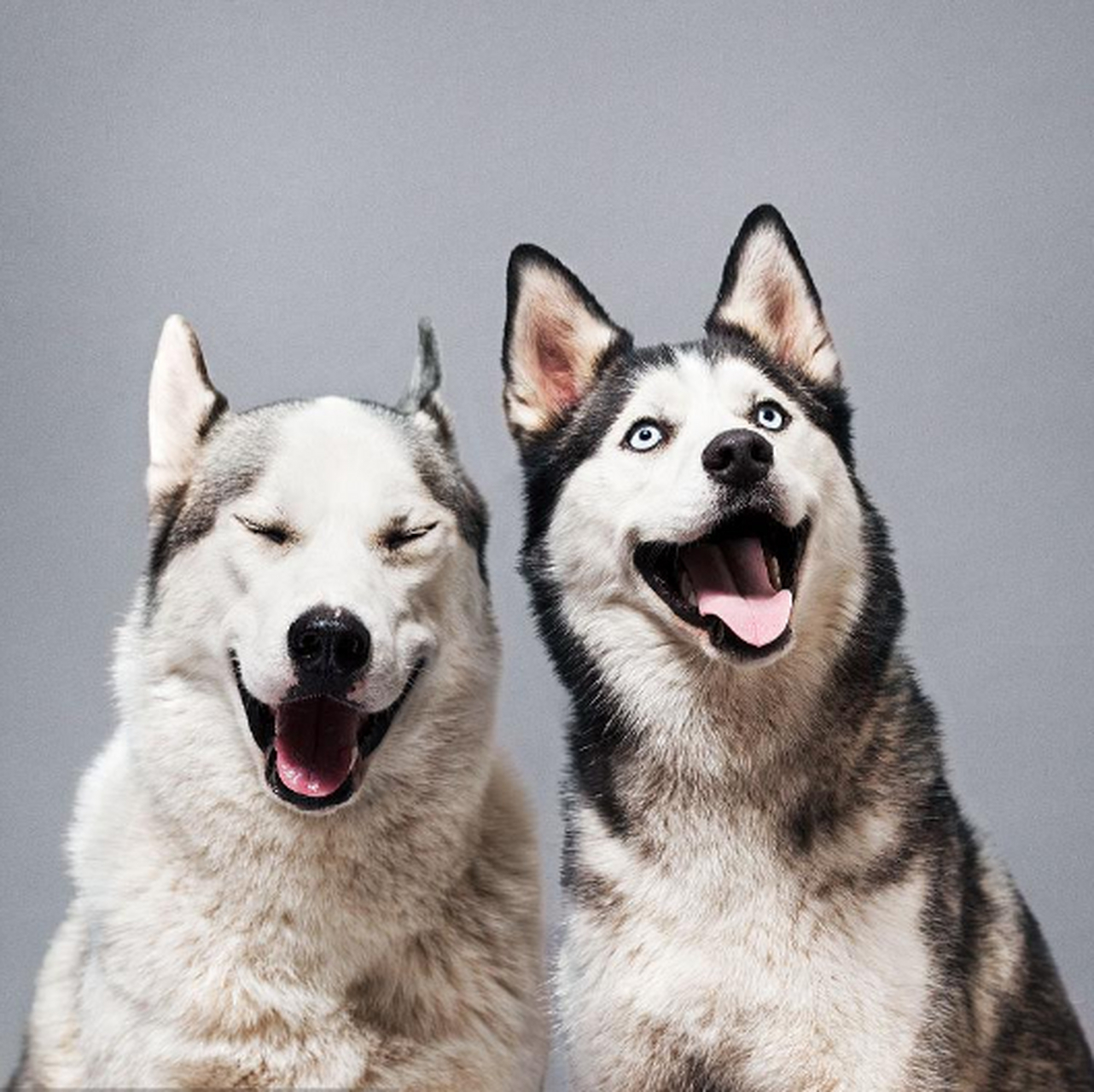 你来听,我来看,我们相互配合,各自分工,一定能把事情做的更好,这就是