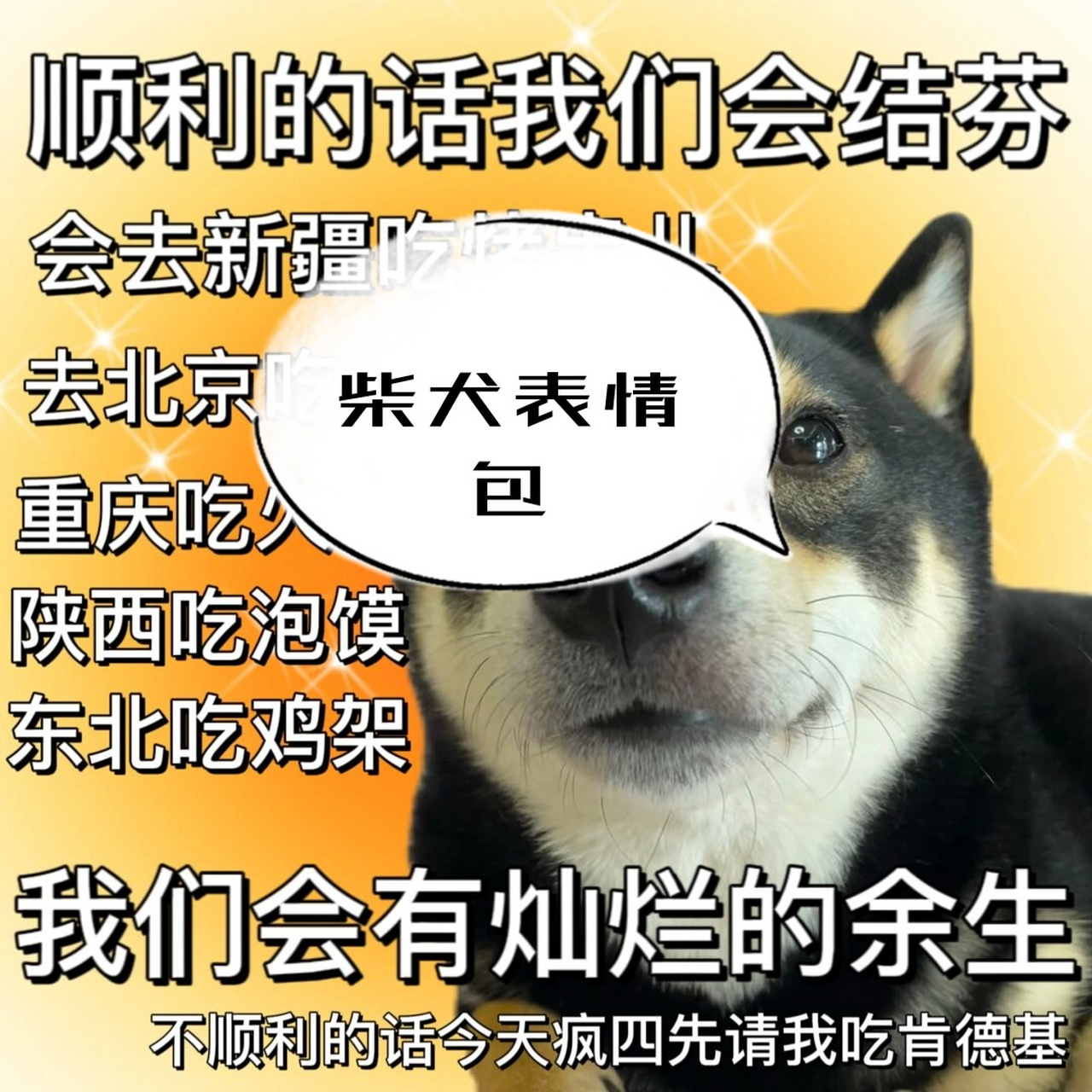 柴犬下楼表情包图片