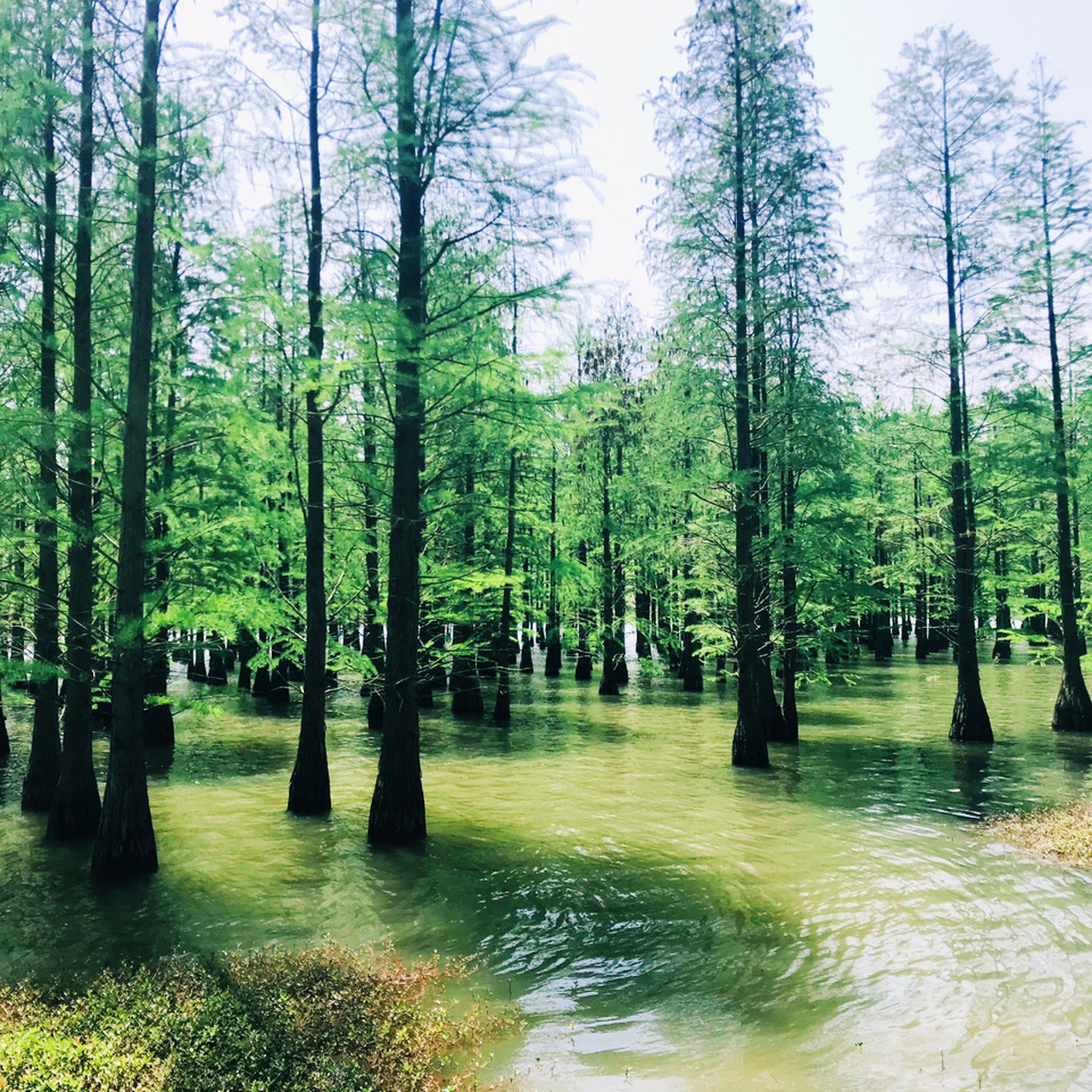 止马岭风景区图片图片