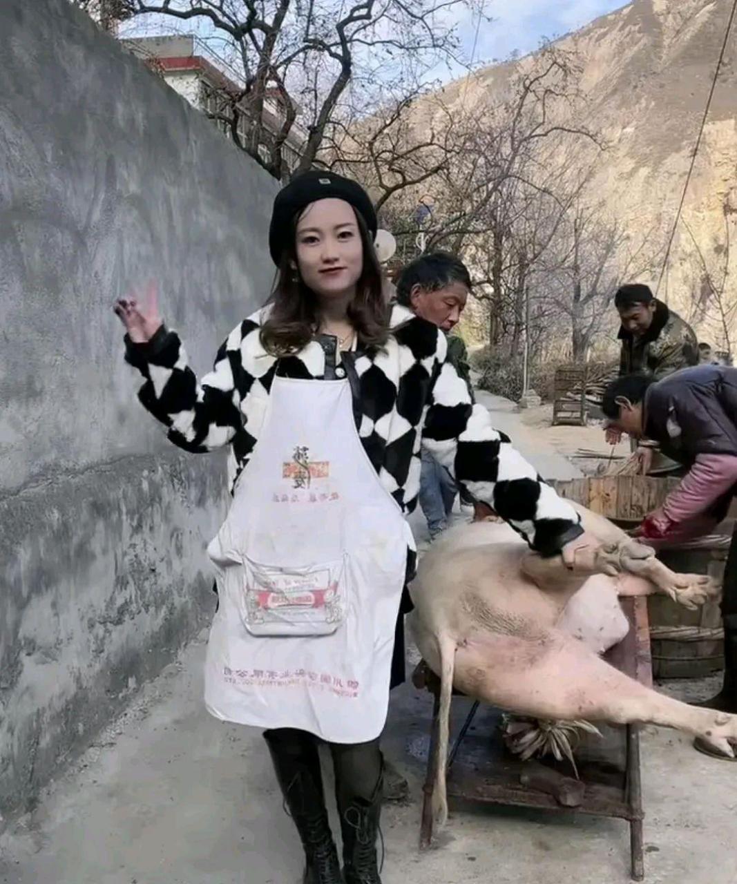 小姐姐杀猪图片