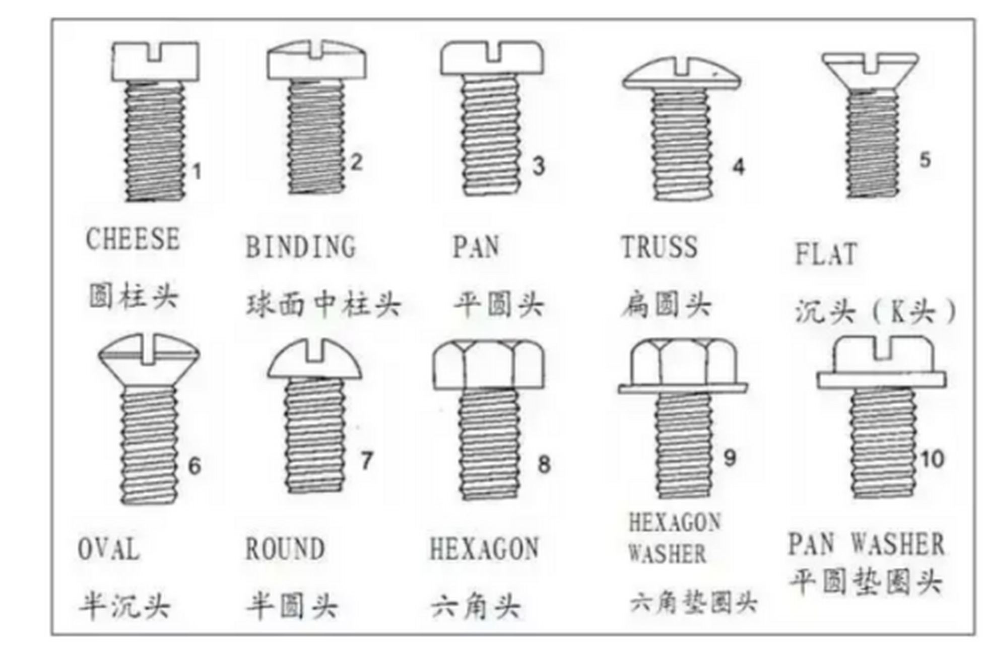 田螺与螺丝的区别图图片