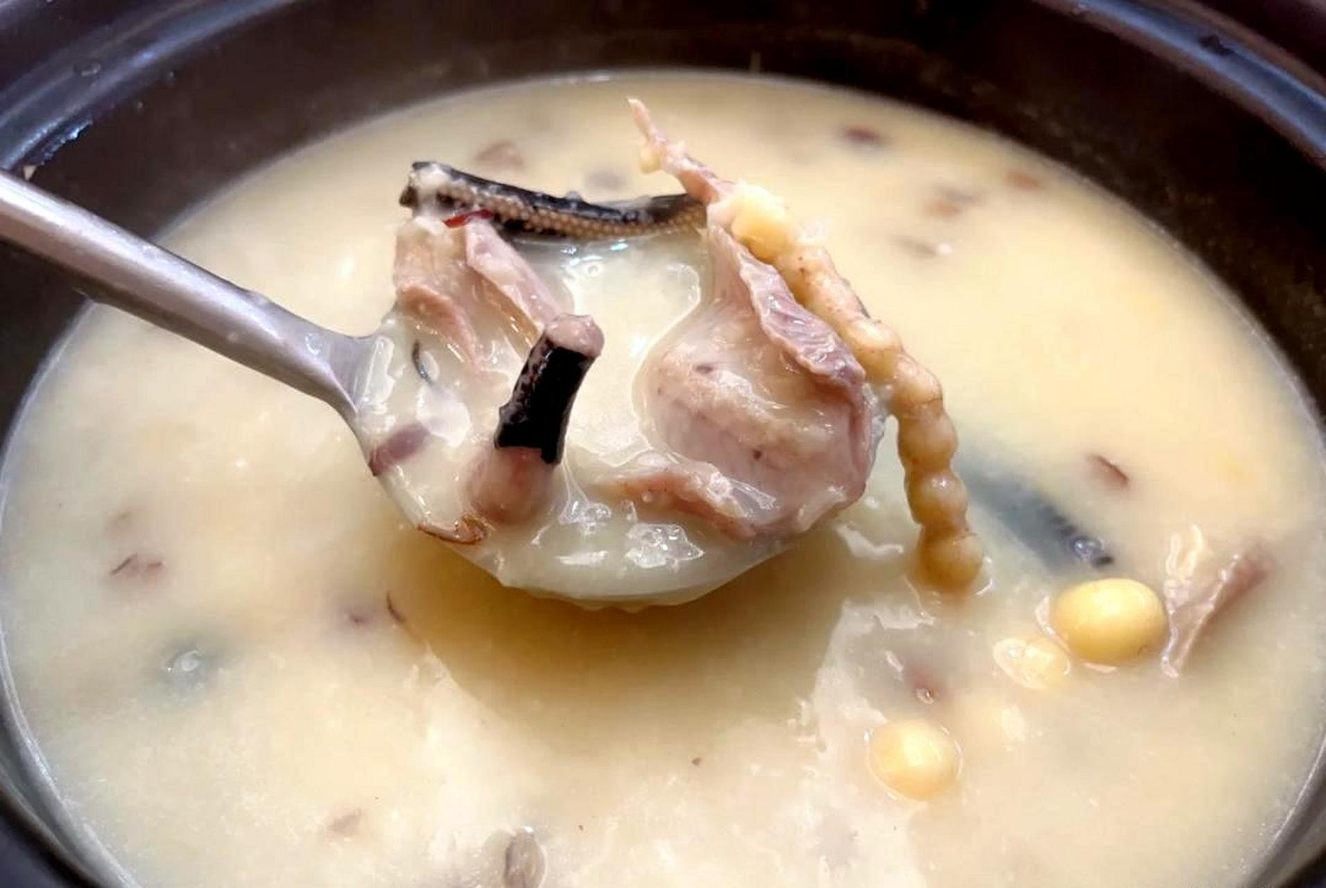 尝尝水蛇粥,怎么样?