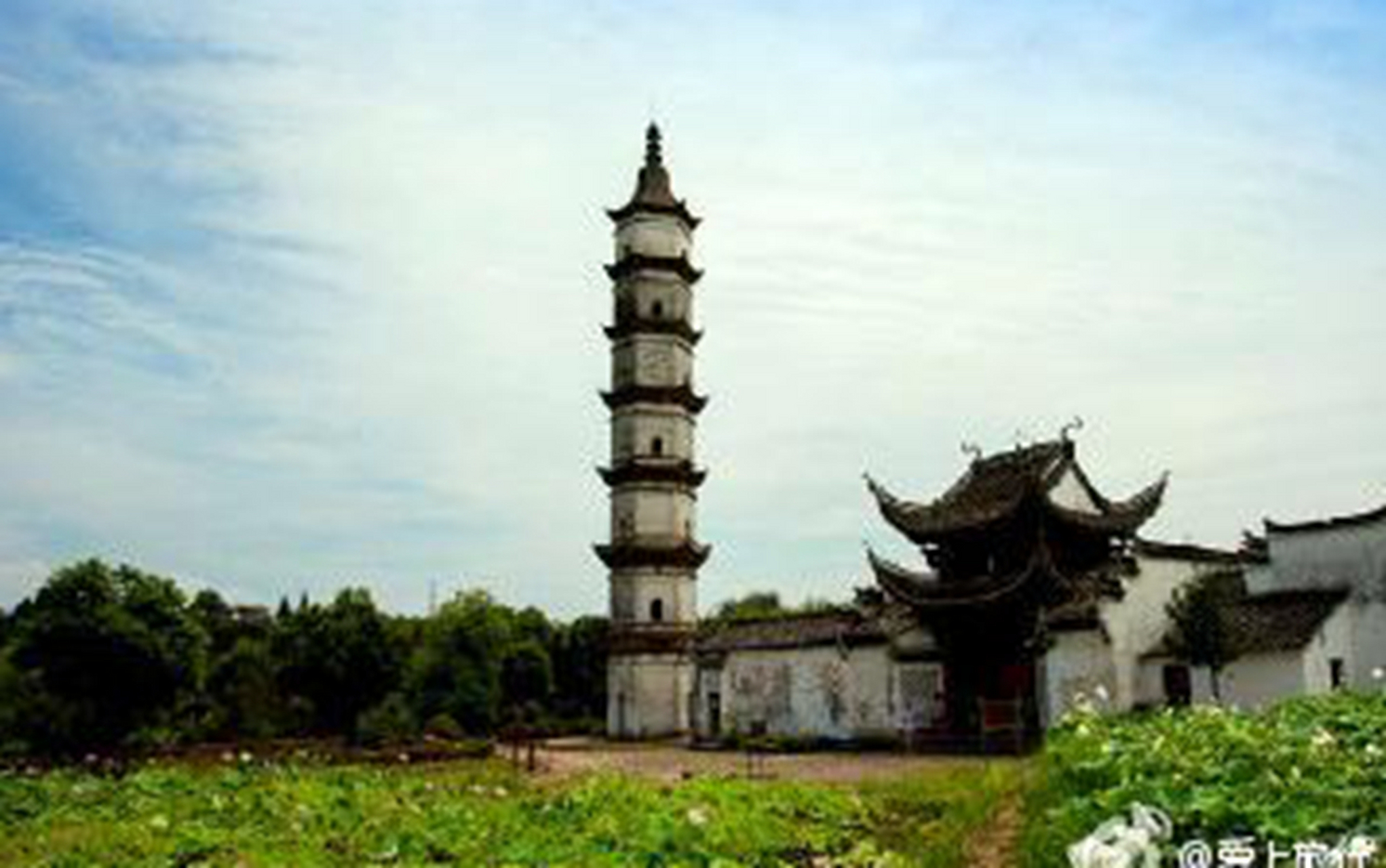 步骤慢点儿气氛神秘柳梦梅的美梦里