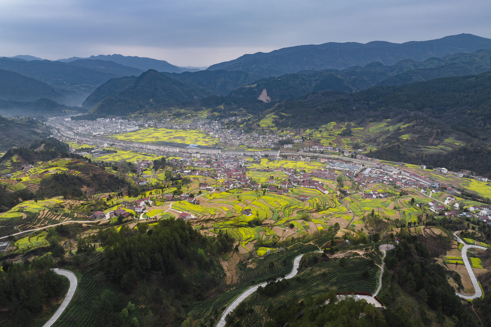 地处秦巴山区的陕西省汉中市,有112万亩油菜花,年产油料14.4万吨.