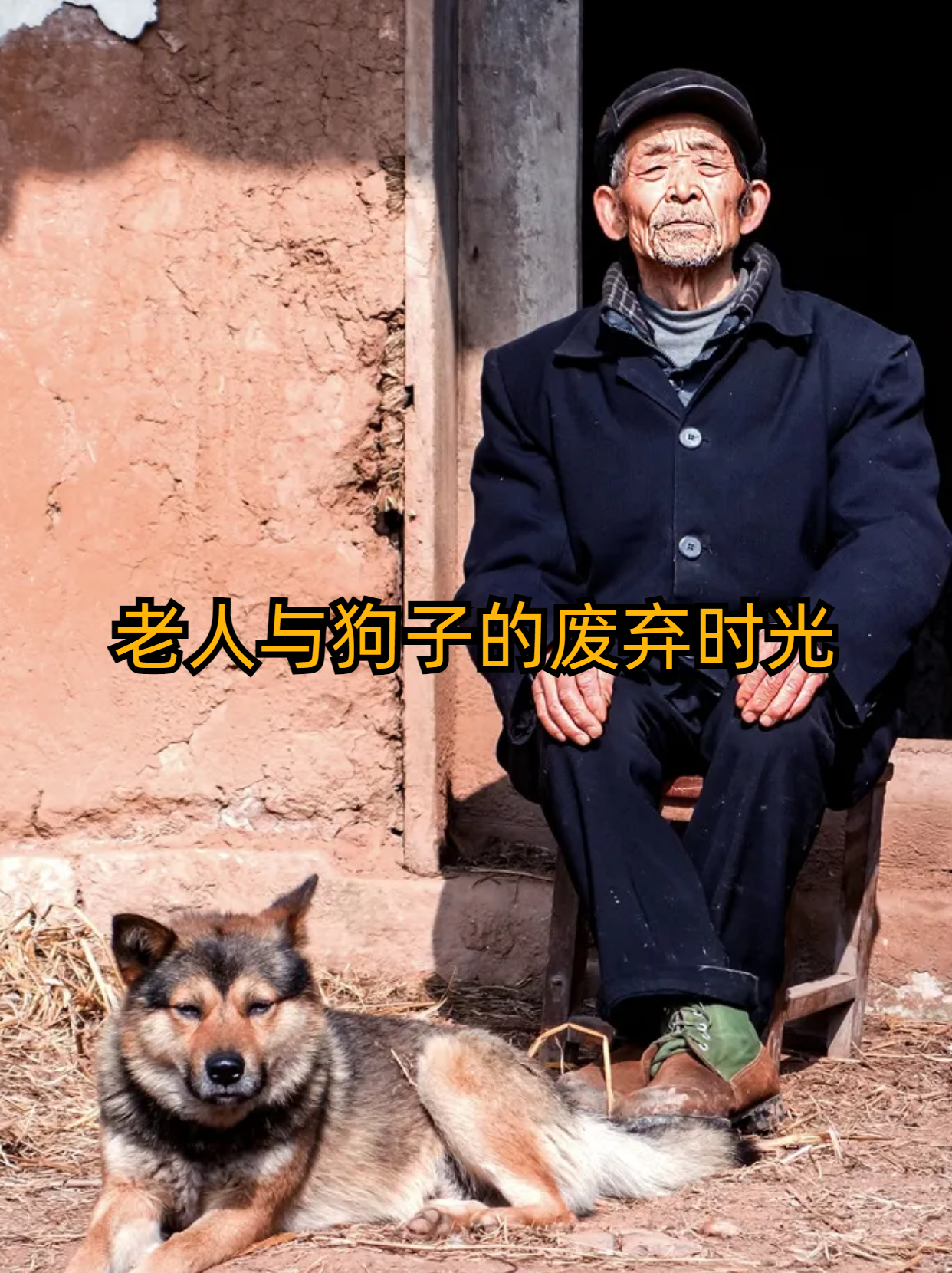 老人与狗子的废弃时光 "在一个破旧的房子里,住着一位孤独的老人.