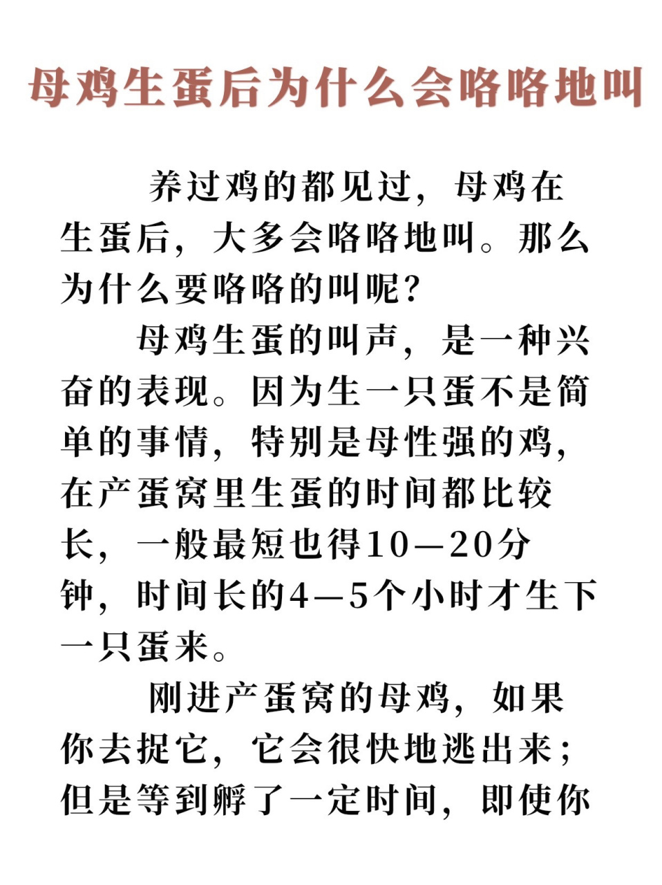 母鸡生蛋的叫声,是一种兴奋的表现.
