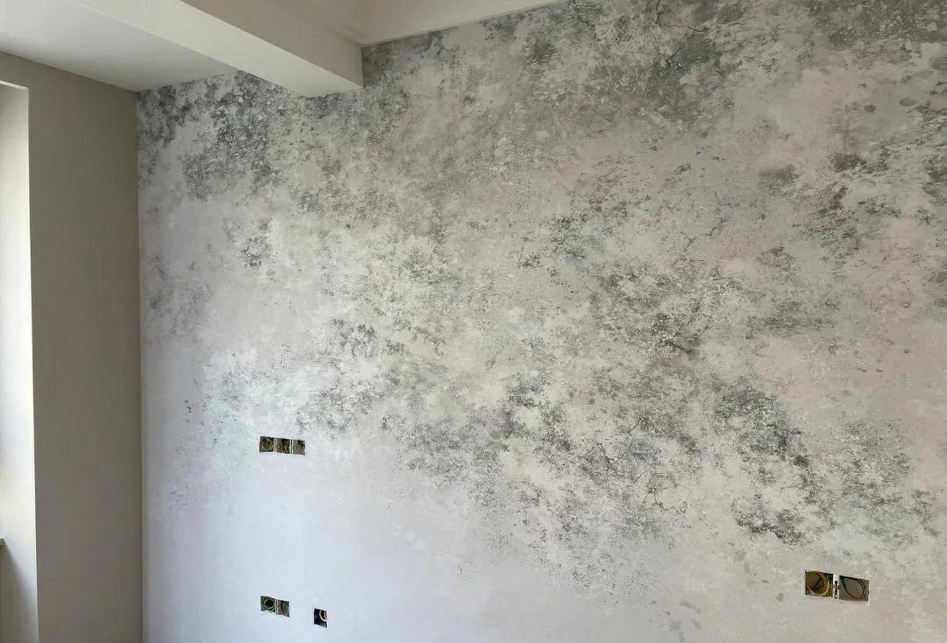 新房壁布贴好了,南方朋友进门一看, 你家墙发霉了?