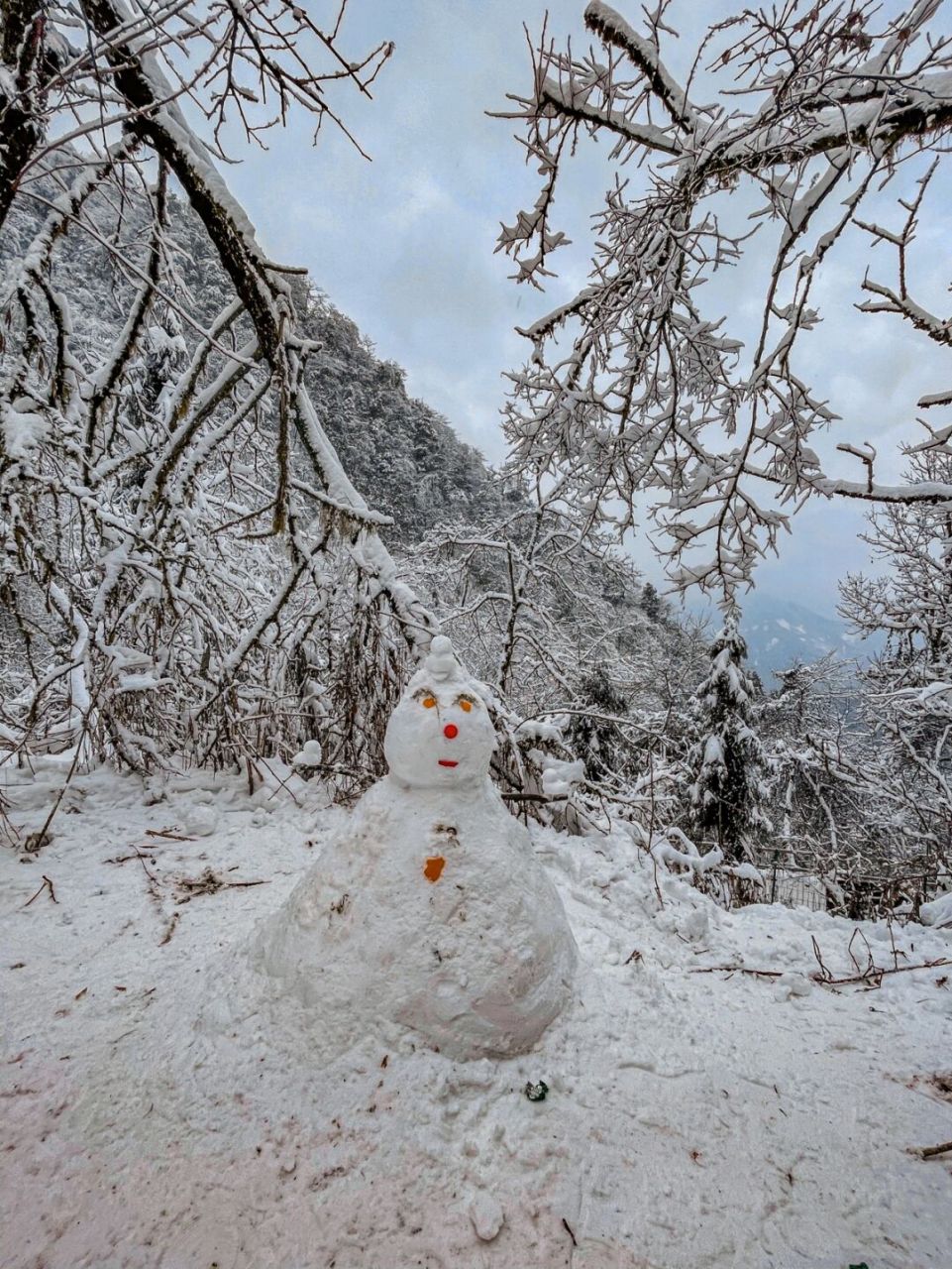 彭州九峰山雪景图片