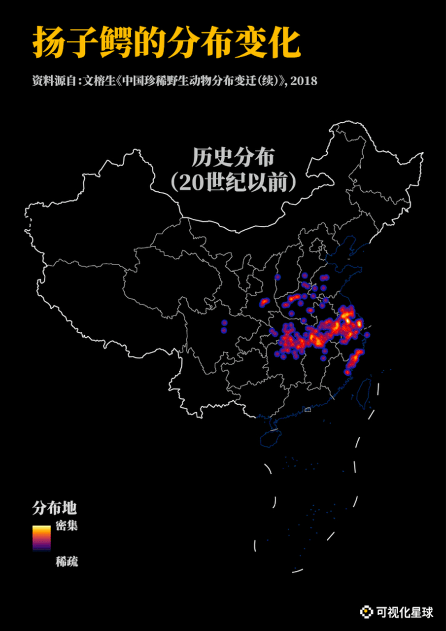 扬子鳄分布图片